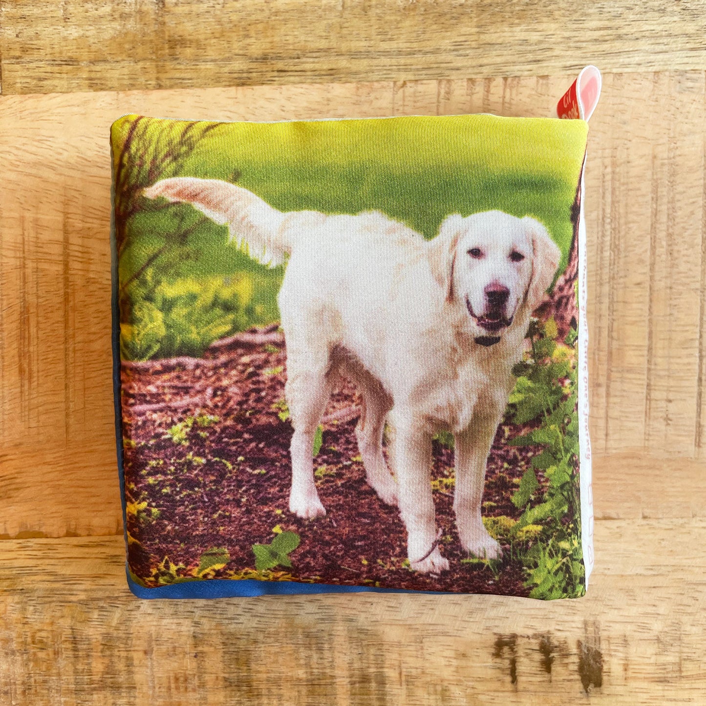 CITY MATES - Soft Fabric Baby Book Real Animal Images - OEKO-TEX®