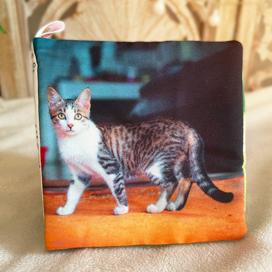 The front cover is a full page photograph of a lovely cat standing on his four paws. We can see the profile of his body while his head is facing us. This photo is ideal for your little one to understand the shape of the cat. This Domestic Short Hair cat has a white chest, with black stripes on his grey fur.